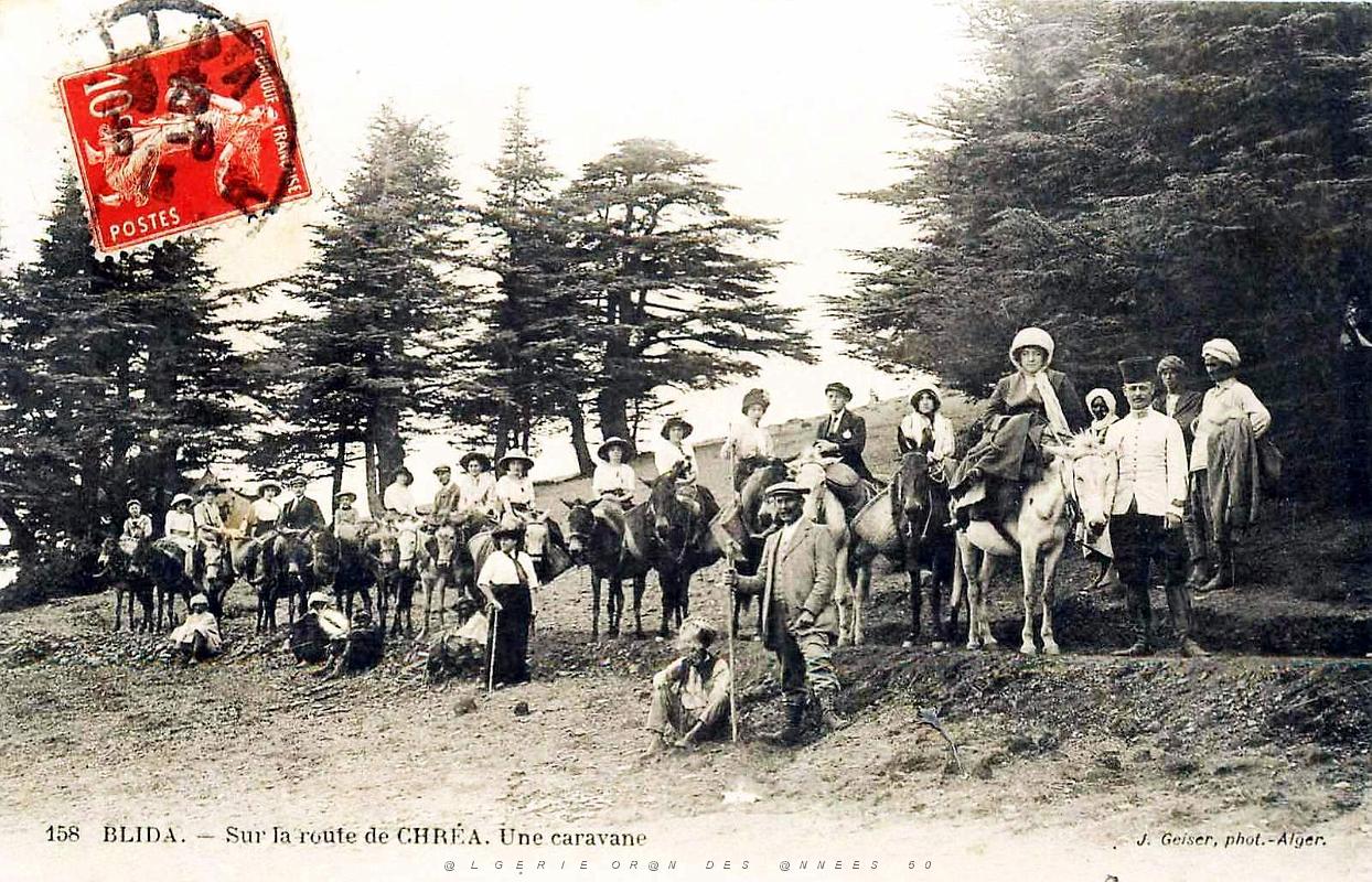 444- Blida - Sur la route de Chrea.jpg
